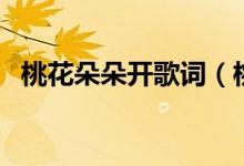 桃花朵朵開歌詞（桃花朵朵開歌詞是什么）