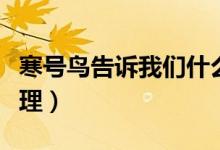 寒號鳥告訴我們什么（寒號鳥告訴我們什么道理）