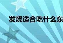 發(fā)燒適合吃什么東西（發(fā)燒適合吃什么）