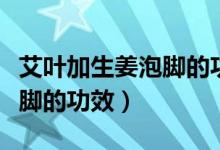 艾葉加生姜泡腳的功效是什么（艾葉加生姜泡腳的功效）