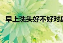 早上洗頭好不好對身體(早上洗頭好不好)