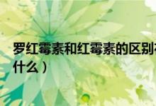 羅紅霉素和紅霉素的區(qū)別在哪（羅紅霉素和紅霉素的區(qū)別是什么）