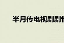 半月傳電視劇劇情（該劇都是誰演的）