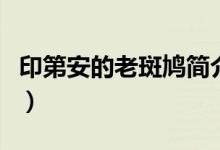 印第安的老斑鳩簡(jiǎn)介（印第安的老斑鳩啥意思）