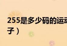 255是多少碼的運(yùn)動(dòng)鞋子(255是多少碼的鞋子)