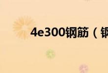 4e300鋼筋（鋼筋400E代表什么）