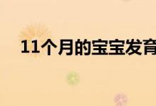 11個(gè)月的寶寶發(fā)育標(biāo)準(zhǔn)（需要注意什么）