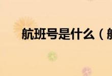 航班號是什么（航班號是什么怎么看）
