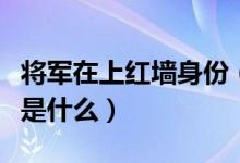 將軍在上紅墻身份(將軍在上紅薔的真實(shí)身份是什么)