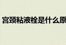 宮頸粘液栓是什么原因(宮頸粘液栓是什么)
