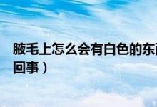 腋毛上怎么會(huì)有白色的東西（腋毛上面有白色的東西是怎么回事）