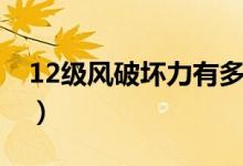 12級(jí)風(fēng)破壞力有多大（12級(jí)風(fēng)破壞力有多大）