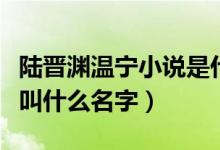 陸晉淵溫寧小說是什么名字（陸晉淵溫寧小說叫什么名字）