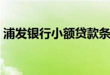 浦發(fā)銀行小額貸款條件（小浦紅貸申請(qǐng)條件）