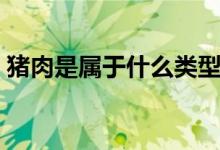 豬肉是屬于什么類(lèi)型的（豬肉是屬于發(fā)物嗎）
