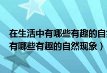 在生活中有哪些有趣的自然現(xiàn)象并獲得哪些啟示（在生活中有哪些有趣的自然現(xiàn)象）