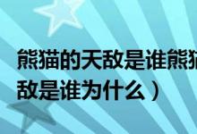 熊貓的天敵是誰(shuí)熊貓的朋友又是誰(shuí)（熊貓的天敵是誰(shuí)為什么）