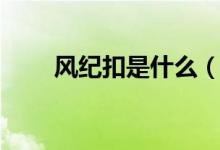風(fēng)紀(jì)扣是什么（風(fēng)紀(jì)扣是什么意思）