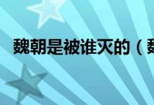 魏朝是被誰滅的（魏朝是被哪個國家滅的）