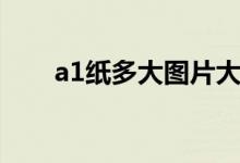 a1紙多大圖片大全（a1紙多大尺寸）