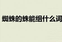 蜘蛛的蛛能組什么詞（蜘蛛的蛛組詞是什么）