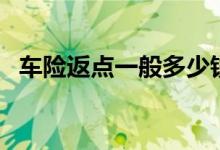 車(chē)險(xiǎn)返點(diǎn)一般多少錢(qián)(車(chē)險(xiǎn)返點(diǎn)一般多少)