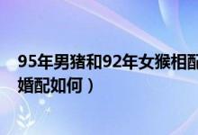 95年男豬和92年女猴相配婚姻如何（92年猴男和95年豬女婚配如何）