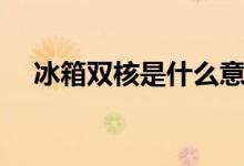 冰箱雙核是什么意思（冰箱雙核的解釋）