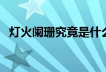 燈火闌珊究竟是什么意思(燈火闌珊解釋)