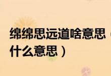 綿綿思遠道啥意思（綿綿思遠道遠道不可思是什么意思）