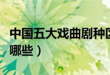 中國五大戲曲劇種區(qū)別（中國五大戲曲劇種有哪些）