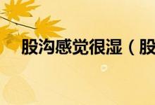 股溝感覺(jué)很濕（股溝經(jīng)常濕的怎么回事）