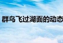 群鳥飛過湖面的動態(tài)描寫（這五句寫得很好）