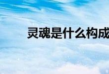 靈魂是什么構(gòu)成（靈魂是什么意思）