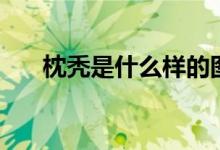 枕禿是什么樣的圖片（枕禿是缺鈣嗎）