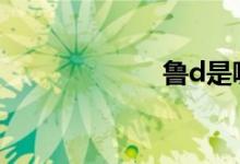 魯d是哪里的車牌