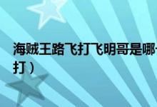 海賊王路飛打飛明哥是哪一集（海賊王明哥第幾集和路飛開打）