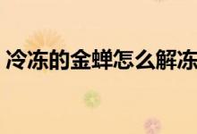 冷凍的金蟬怎么解凍快（冷凍的金蟬怎么做）