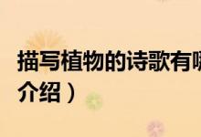 描寫(xiě)植物的詩(shī)歌有哪些（關(guān)于描寫(xiě)植物的詩(shī)歌介紹）