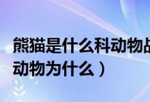 熊貓是什么科動物戰(zhàn)斗力怎樣（熊貓是什么科動物為什么）