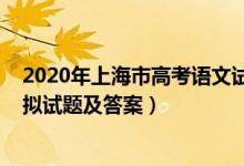 2020年上海市高考語文試題及答案（2022上海高考語文模擬試題及答案）