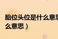 胎位頭位是什么意思什么樣子（胎位頭位是什么意思）