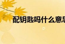 配鑰匙嗎什么意思（配鑰匙嗎什么梗）