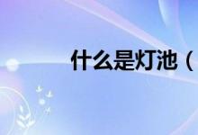 什么是燈池(什么是燈塔水母)