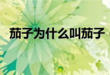 茄子為什么叫茄子（茄子為什么叫劉培茄）