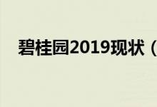 碧桂園2019現(xiàn)狀(碧桂園房子質(zhì)量排名)