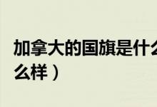 加拿大的國(guó)旗是什么形狀（加拿大的國(guó)旗是什么樣）