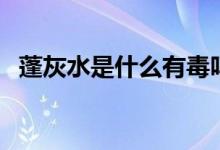 蓬灰水是什么有毒嗎（蓬灰水是什么東西）