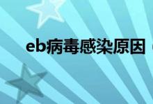 eb病毒感染原因（eb病毒感染嚴(yán)重嗎）