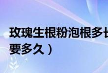 玫瑰生根粉泡根多長時間好（玫瑰生根粉泡根要多久）